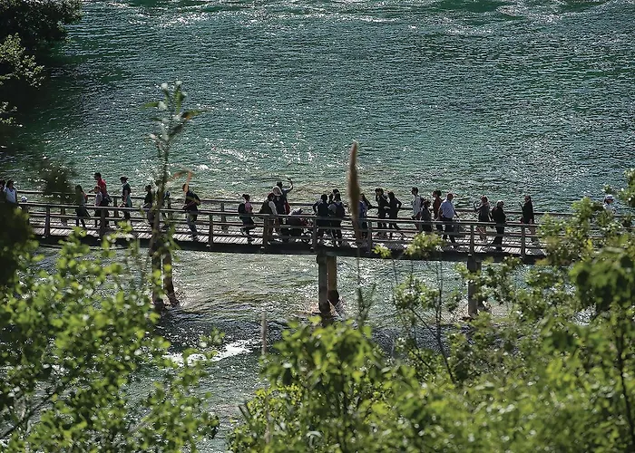 Apartment Stunning In *